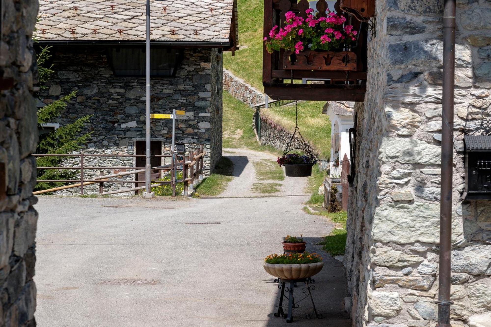 ヴァルトゥルナンシュHellochalet - Chalet Grene Typical House With Garden - 1Km Cabelcarアパートメント エクステリア 写真